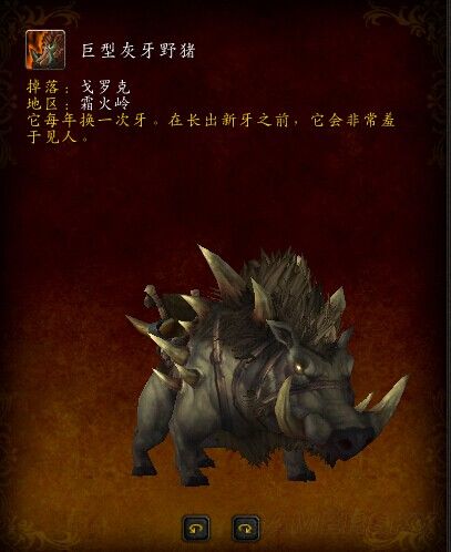 wow魔兽世界游戏中怎么才能获得坐骑