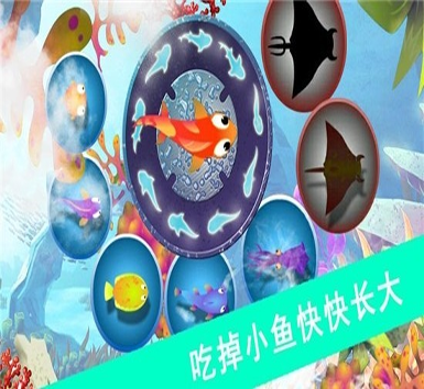 宠物宝贝进化之阿尔德洗练成新血洗炼技巧