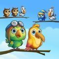 小鸟排序消除游戏下载-小鸟排序消除游戏安卓手机版 v1.0.3
