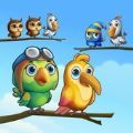 小鸟分类谜题游戏下载-小鸟分类谜题游戏安卓官方版下载 v1.0.3