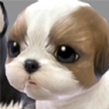 宠物饲养员游戏下载-宠物饲养员游戏官方安卓版 v1.0.0