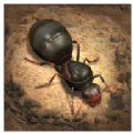蚁族地下王国游戏下载-蚁族地下王国游戏安卓版 v1.20.0