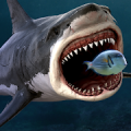 鲨鱼之王游戏下载-鲨鱼之王游戏官方版 v2.0.1
