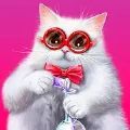 可爱的猫咪珍藏游戏官方版 v1.01.100