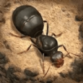 荒野蚂蚁模拟游戏官方版 v1.0