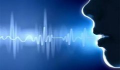 2022语音助手软件大全-2022有哪些好用的语音助手软件-语音助手软件