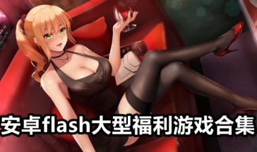 安卓flash大型福利游戏合集