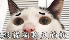 能跟猫狗聊天的软件-人猫翻译器免费版软件-人宠交流器app合集
能跟猫狗聊天的软件-人猫翻译器免费版软件-人宠交流器app合集