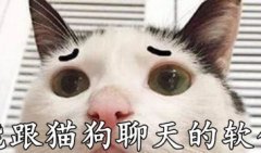 能跟猫狗聊天的软件-人猫翻译器免费版软件-人宠交流器app合集
