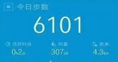 走路计步器哪个软件好-走路计步器软件免费app合集-走路计步器app哪个 走路计步器哪个软件好-走路计步器软件免费app合集-走路计步器app哪个