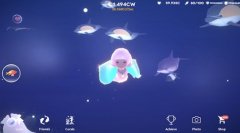 深海庭院游戏合集-深海庭院游戏大全 深海庭院游戏合集-深海庭院游戏大全