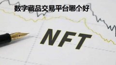 数字藏品交易平台哪个好-数字藏品值得收藏吗-数字藏品二级交易平台有哪些 数字藏品交易平台哪个好-数字藏品值得收藏吗-数字藏品二级交易平台有哪些