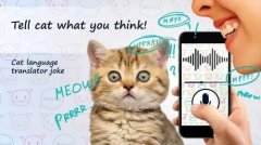 好用的动物翻译器app推荐-动物语言翻译软件免费app合集-智能动物翻译