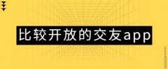 哪个交友软件比较开放-比较开放的社交软件有哪些-开放交友软件排行榜