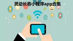 灵动长春小程序app合集- 灵动长春手机号怎么改- 灵动长春怎么添加家庭 灵动长春小程序app合集- 灵动长春手机号怎么改- 灵动长春怎么添加家庭