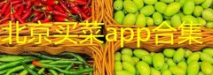 北京买菜送菜app排行榜-北京买菜app哪个好-北京买菜平台有哪些 北京买菜送菜app排行榜-北京买菜app哪个好-北京买菜平台有哪些