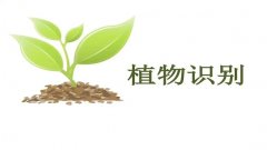 小园丁app怎么用-小园丁追剧软件app合集-小园丁是什么软件 小园丁app怎么用-小园丁追剧软件app合集-小园丁是什么软件