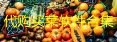 代购买菜的app哪个好-代购买菜平台有哪些-代购买菜软件合集 代购买菜的app哪个好-代购买菜平台有哪些-代购买菜软件合集