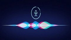 回声语音app合集-回声语音是干嘛的-回声语音app怎么样