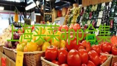 上海买菜app排行-上海买菜平台有哪些-上海买菜送货上门的软件 上海买菜app排行-上海买菜平台有哪些-上海买菜送货上门的软件