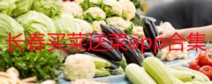 长春买菜送菜app哪个好-长春买菜哪里便宜-长春买菜送菜平台推荐 长春买菜送菜app哪个好-长春买菜哪里便宜-长春买菜送菜平台推荐