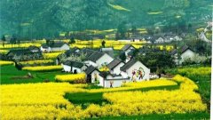 村镇建设管理平台合集-村镇建设管理平台手机客户端大全-全国村镇建设管理平 村镇建设管理平台合集-村镇建设管理平台手机客户端大全-全国村镇建设管理平