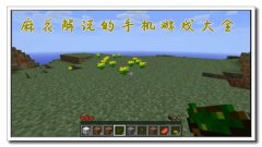麻花解说游戏合集-麻花游戏解说最新-麻花解说过的游戏大全 麻花解说游戏合集-麻花游戏解说最新-麻花解说过的游戏大全