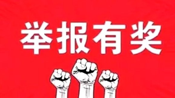 拍汽车违章奖励APP大全