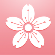 日语词典电子版下载手机版_日语词典在线查询app下载最新版v1.3