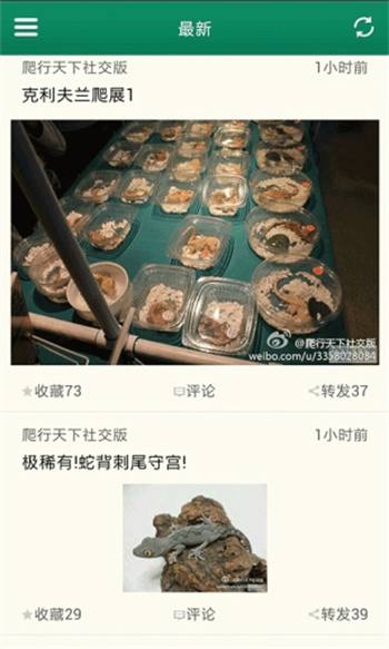 爬行天下下载