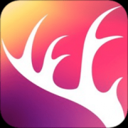 阡鹿旅游app最新版