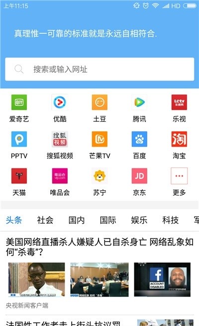 vip浏览器下载app