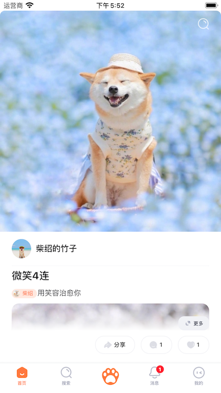 铲屎啦安卓版下载