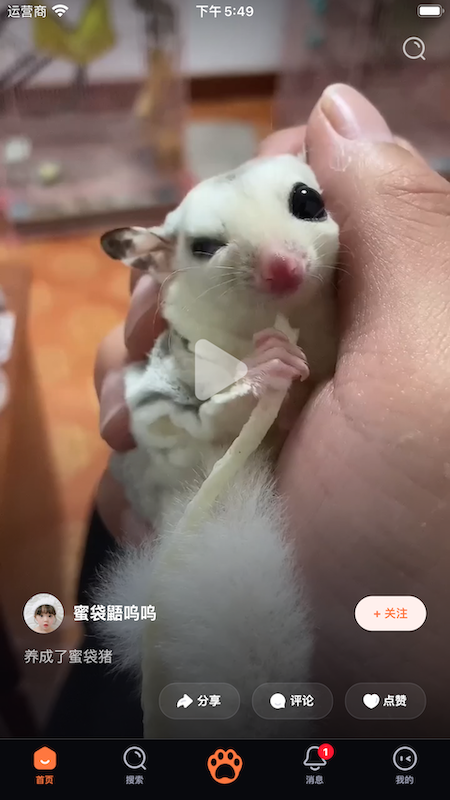 铲屎啦app安卓下载安装