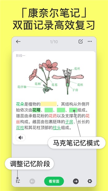 闪卡app下载