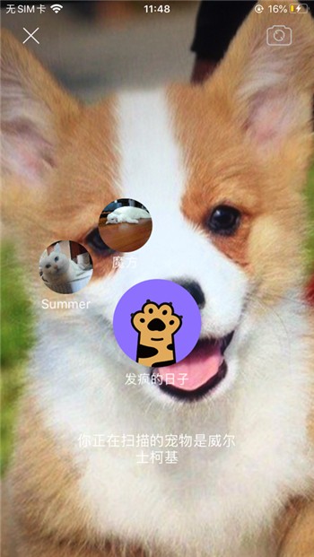 握爪app下载