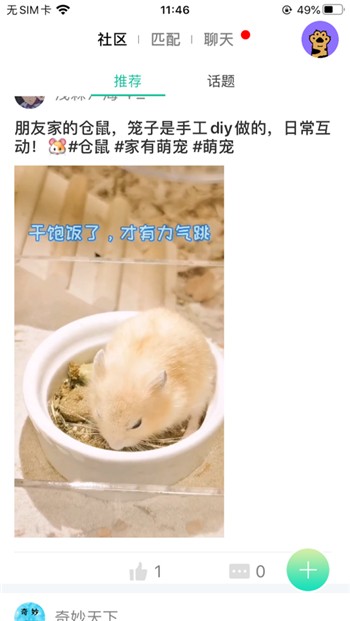 握爪app下载正版地址