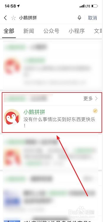 小鹅拼拼商家版下载免费版