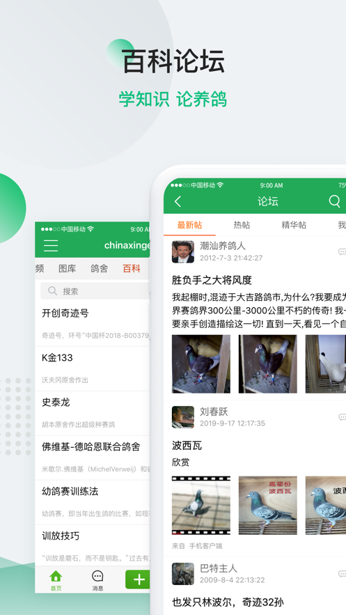 中国信鸽信息网手机版下载正式新版本