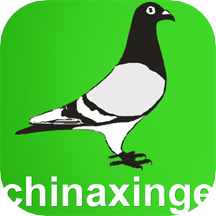 中国信鸽信息网手机正式版