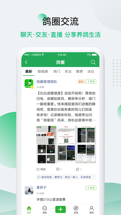 中国信鸽信息网手机正式版下载