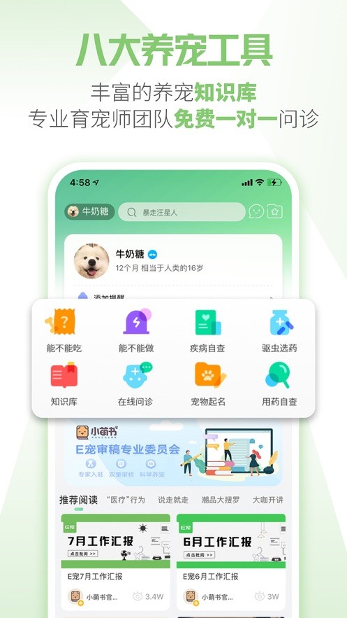 e宠商城app正版下载免费版