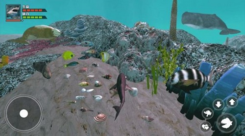 海底大求生游戏下载-海底大求生安卓版最新免费下载