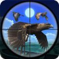 鸟类狩猎挑战游戏下载-鸟类狩猎挑战游戏官方安卓版 v1.0