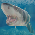 鲨鱼海洋游戏安卓官方版下载 v1.1.0