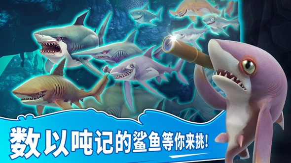 饥饿鲨：世界游戏中有哪些鲨鱼