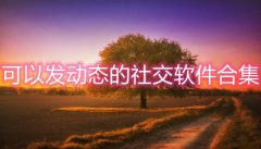 可发动态社交app大全-可发动态社交app合集 可发动态社交app大全-可发动态社交app合集