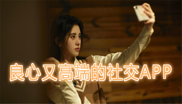 良心高端社交软件大全