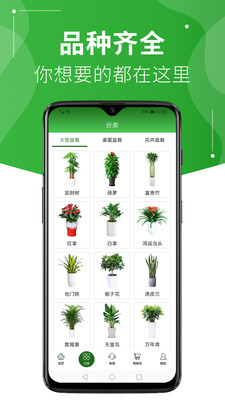 绿植到家下载