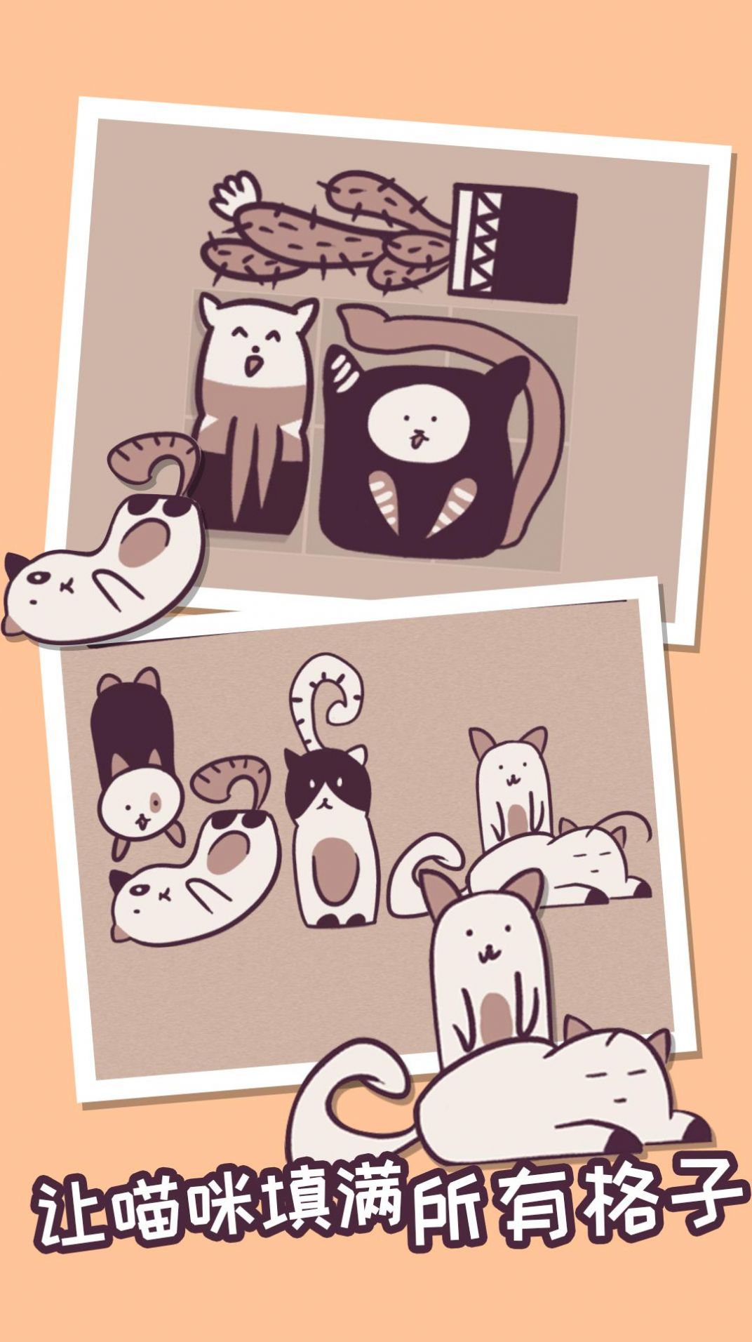 我的小猫贼好看游戏最新版  v1.0.0图2
